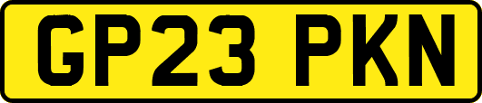 GP23PKN
