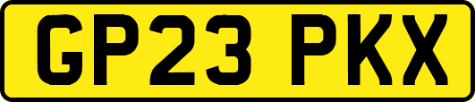GP23PKX