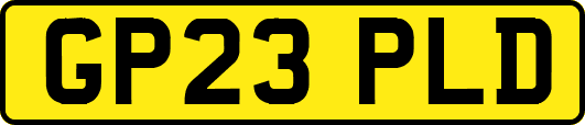 GP23PLD