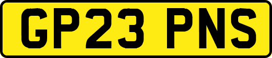 GP23PNS