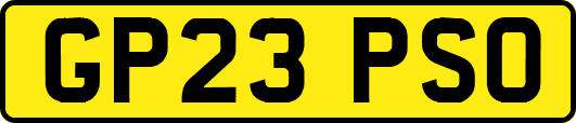 GP23PSO