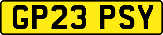 GP23PSY