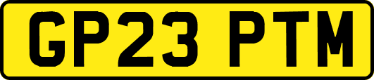 GP23PTM