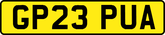 GP23PUA
