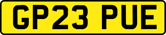 GP23PUE