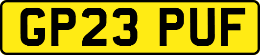 GP23PUF
