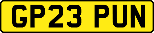 GP23PUN