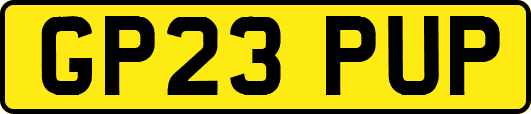 GP23PUP