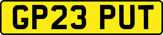 GP23PUT