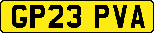 GP23PVA