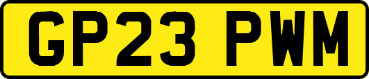 GP23PWM