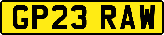 GP23RAW