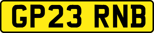 GP23RNB
