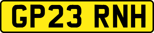 GP23RNH
