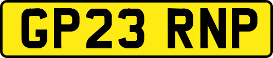GP23RNP