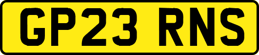 GP23RNS