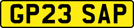 GP23SAP
