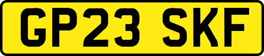 GP23SKF