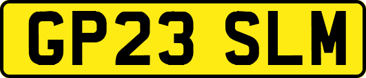 GP23SLM