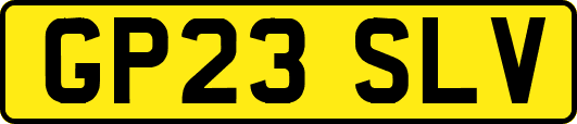 GP23SLV