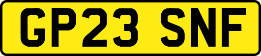 GP23SNF