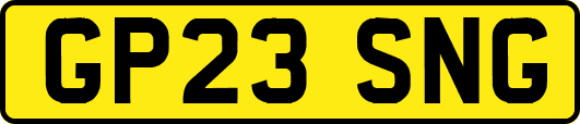 GP23SNG
