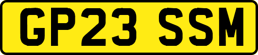 GP23SSM