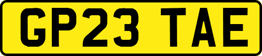 GP23TAE