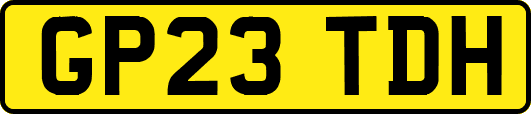 GP23TDH