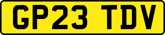 GP23TDV