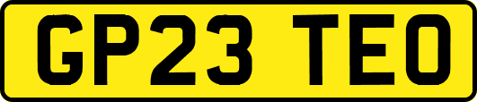 GP23TEO