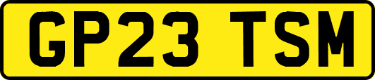 GP23TSM