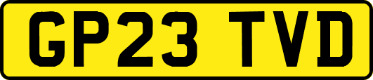 GP23TVD