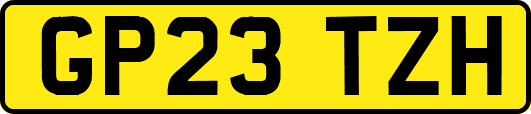 GP23TZH