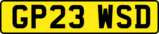 GP23WSD