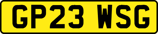 GP23WSG
