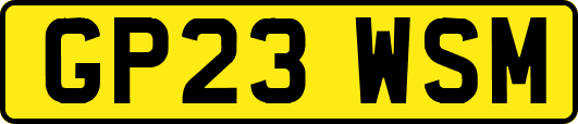 GP23WSM