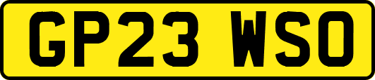 GP23WSO