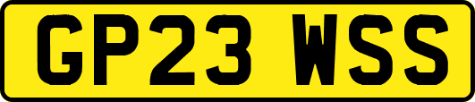 GP23WSS