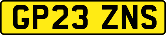 GP23ZNS