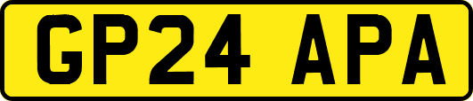 GP24APA