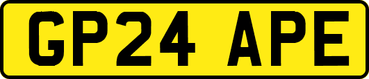 GP24APE