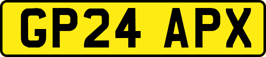 GP24APX