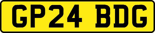 GP24BDG