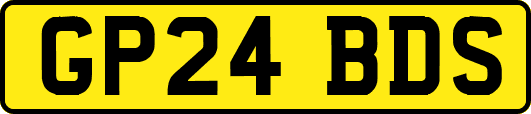 GP24BDS