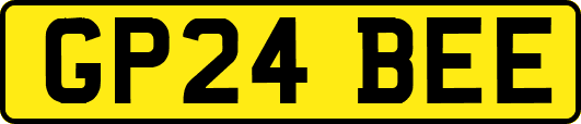 GP24BEE