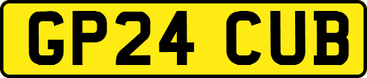 GP24CUB