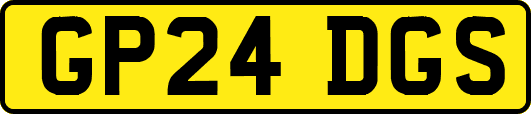 GP24DGS