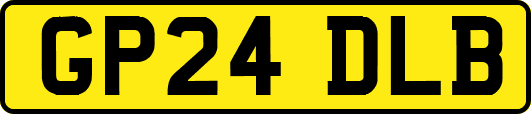 GP24DLB