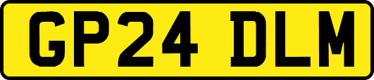GP24DLM